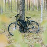 Electric bicycle leaning against a tree in a serene forest setting, showcasing nature's tranquility.