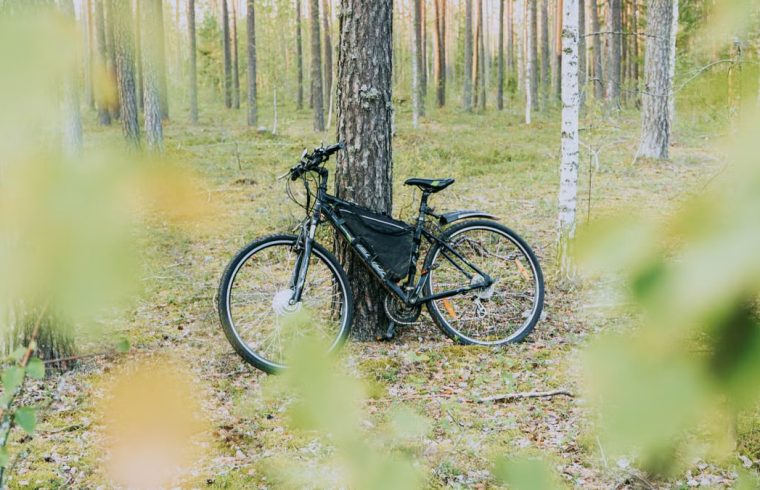 Electric bicycle leaning against a tree in a serene forest setting, showcasing nature's tranquility.